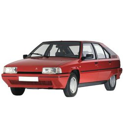 Citroen ZX